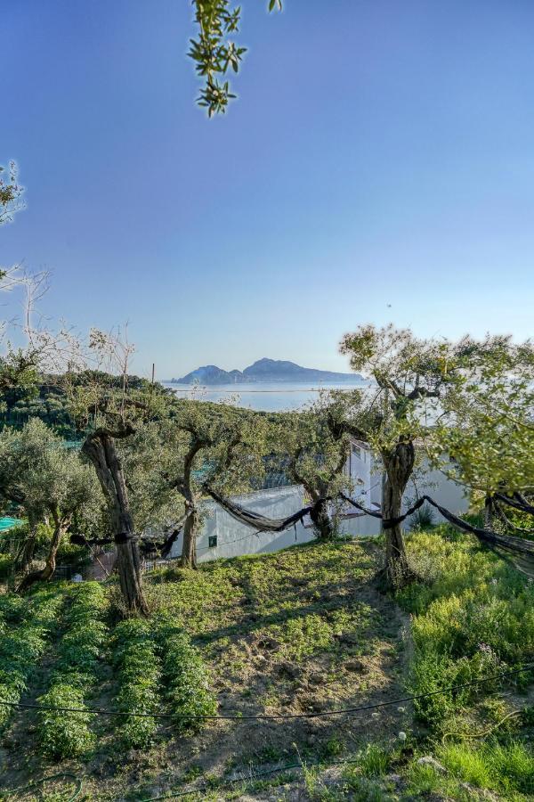 Villa Lorelei Massa Lubrense Exterior photo